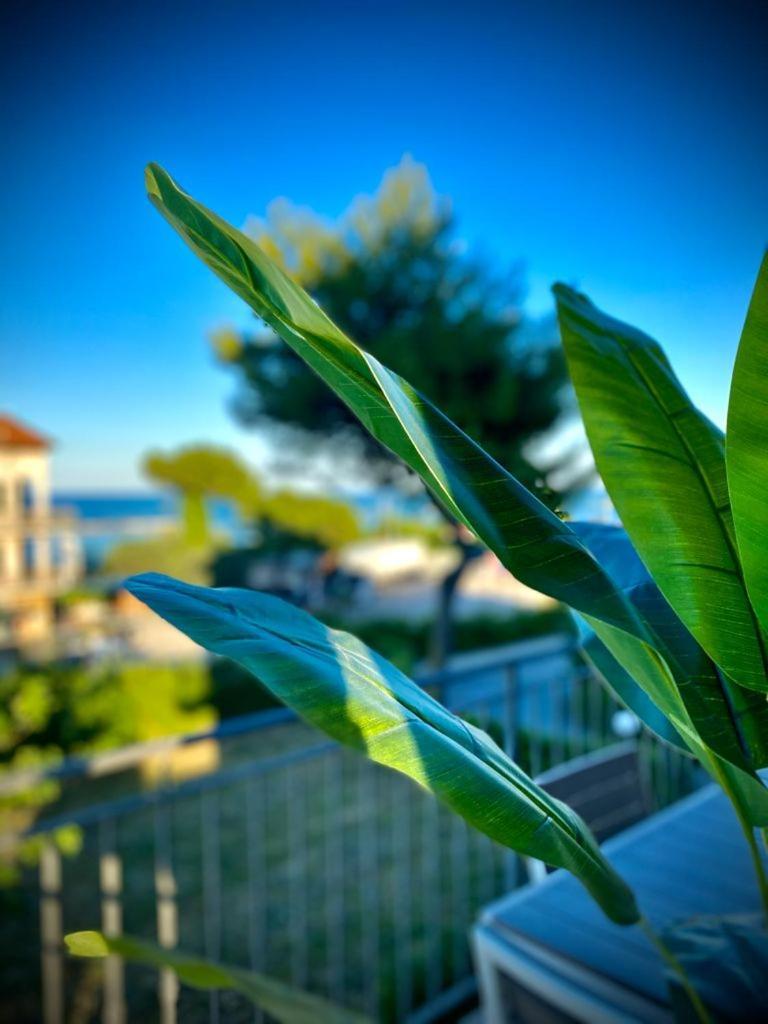 Appartement La Marinella à Massignano Chambre photo
